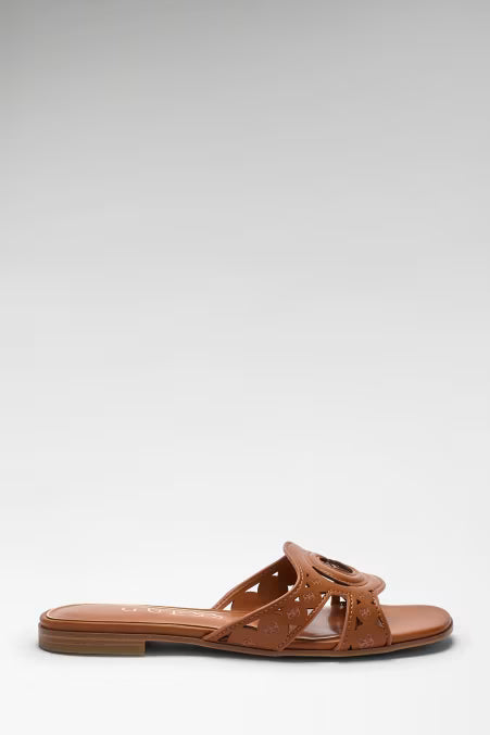 Ciabattina guess
